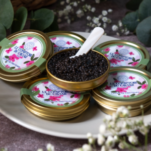 Caviar de Printemps