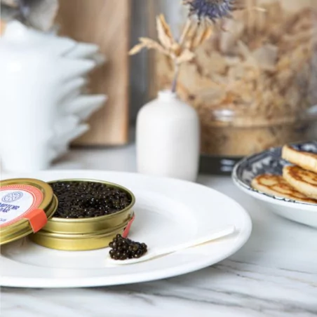 Caviar Schrenkii X Dauricus - Vente en ligne | Le Comptoir du Caviar
