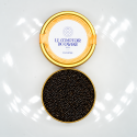 Caviar Osciètre Pologne -Bulgarie I Vente en ligne | Le Comptoir du Caviar